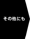 その他にも